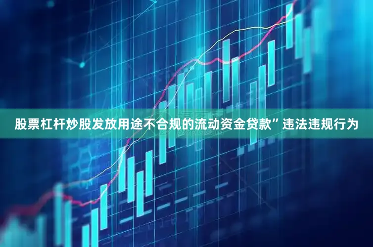 股票杠杆炒股发放用途不合规的流动资金贷款”违法违规行为