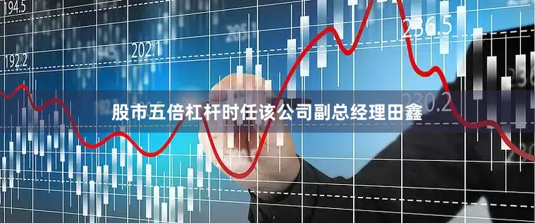 股市五倍杠杆时任该公司副总经理田鑫