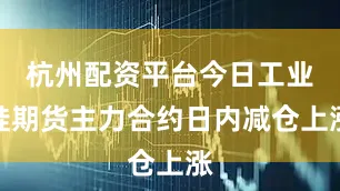杭州配资平台今日工业硅期货主力合约日内减仓上涨